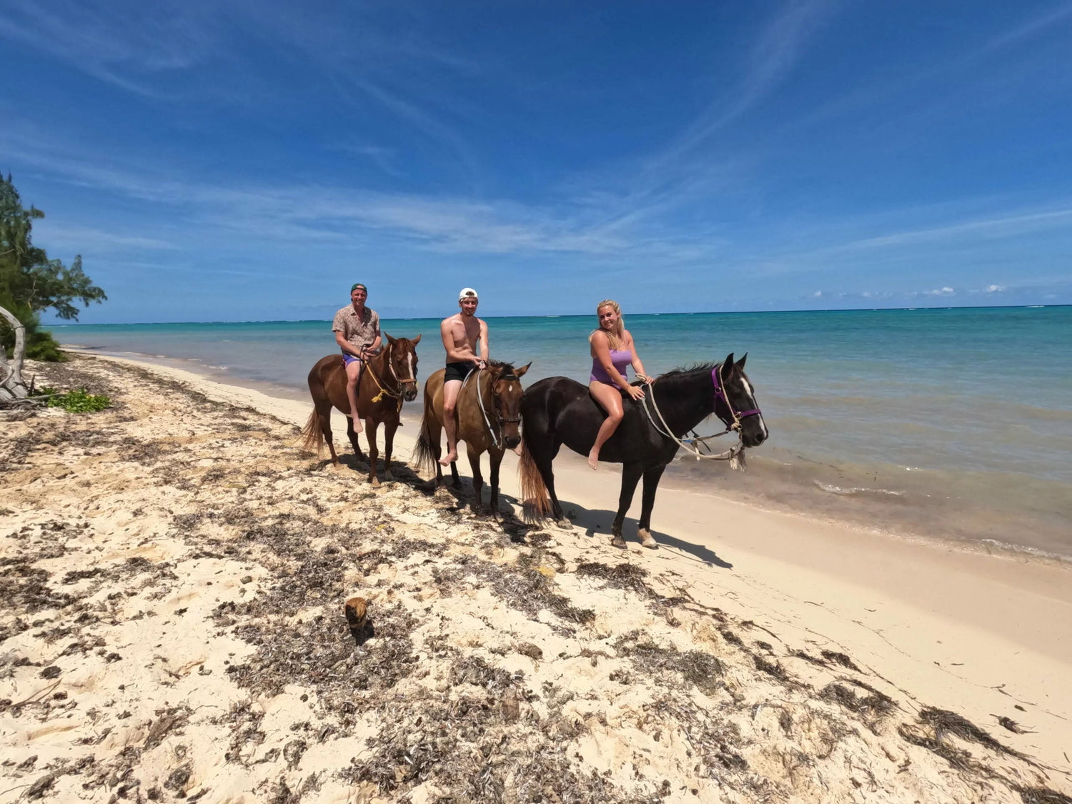 Come With us to The Cayman Islands!