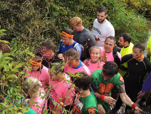 Oasis Sloths Tough Mudder Story