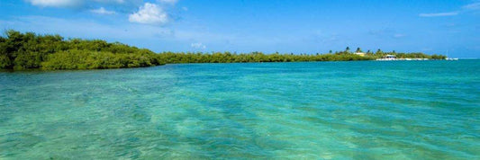 Little Cayman Villa Land for the perfect property