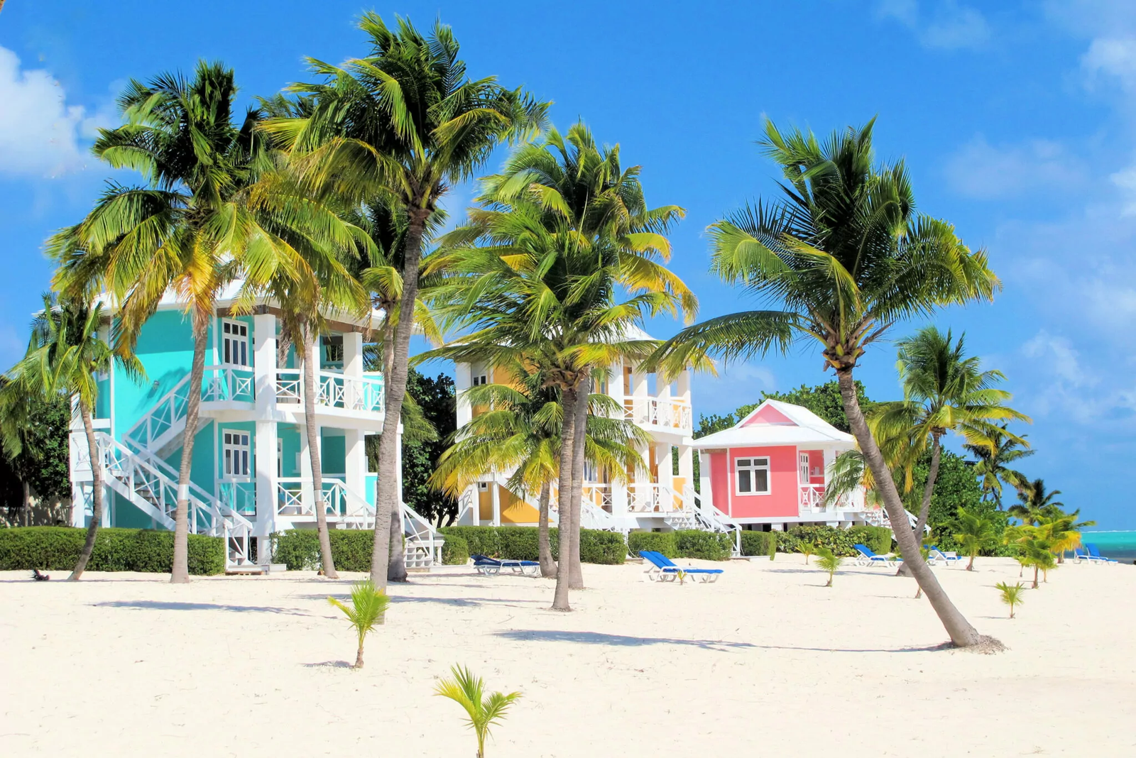Discover Little Cayman