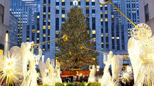 Cayman Airways Relaunches Grand Cayman To New York Flights In Time For Christmas!