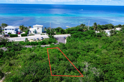 Rum Gardens