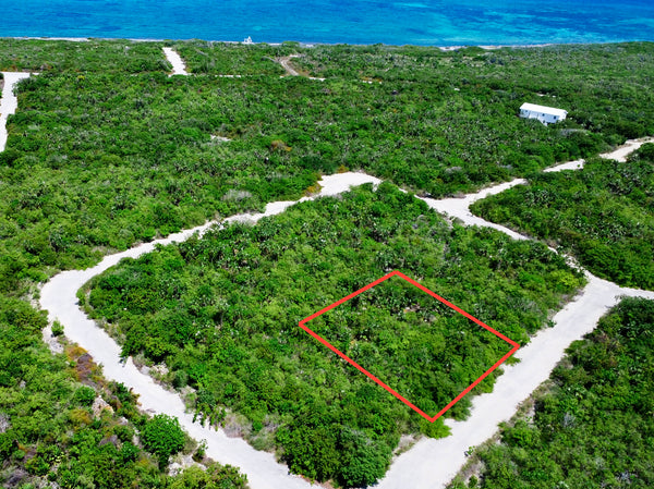 Aerial of P10 Little Coral