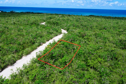 P2 Little Palm freehold land, Little Cayman