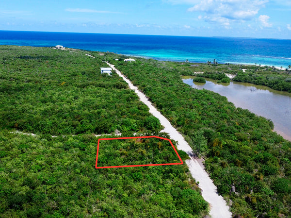 Aerial of P8 Little Coral