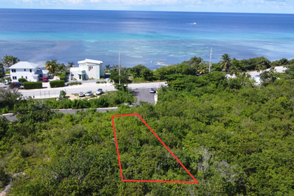 Rum Gardens