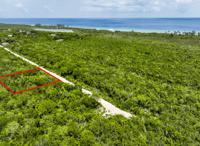 P17 Turtle Crossing - Interest free payment plan!