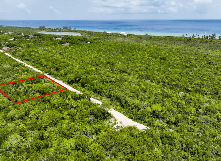 P17 Turtle Crossing - Interest free payment plan!
