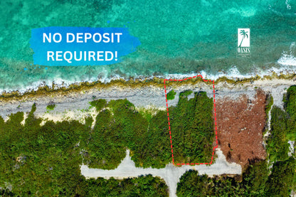 Little Starfish - No Deposit Promotion!