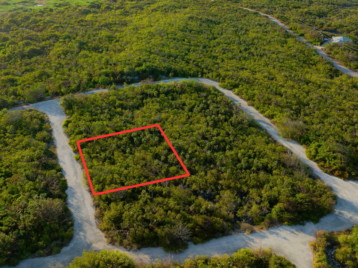 Little Coral P10, North Coast East, Little Cayman - site photo
