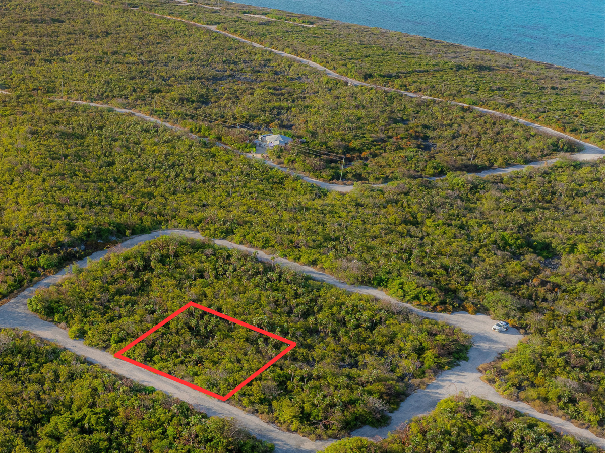 Little Coral P10, North Coast East, Little Cayman - site photo