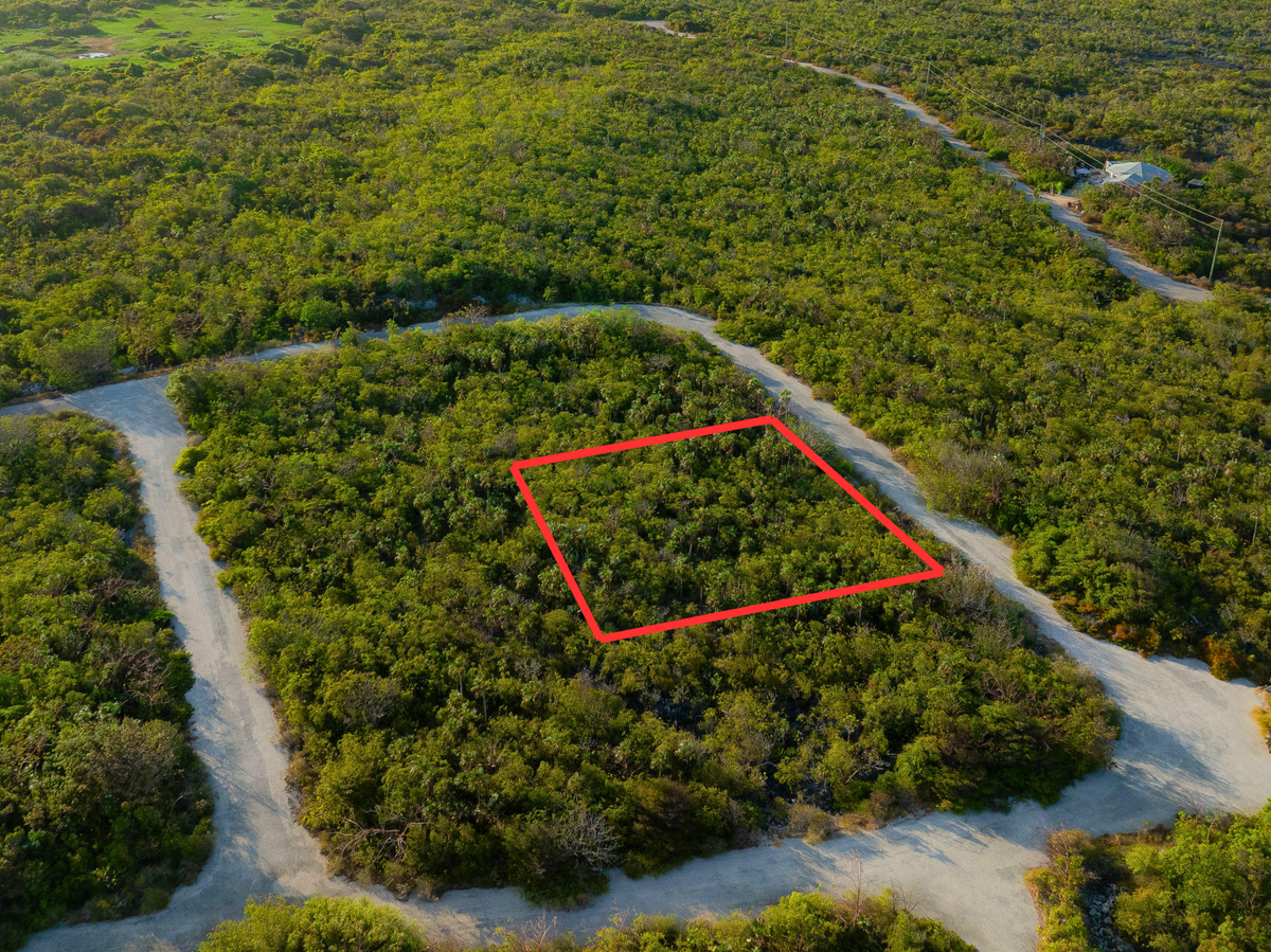 Little Coral P9, North Coast East, Little Cayman - site photo