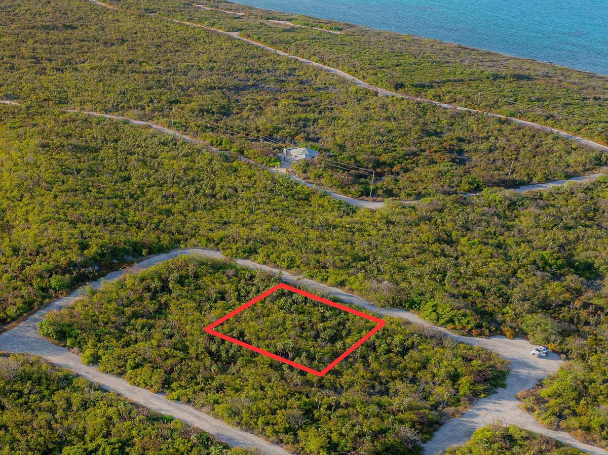 Little Coral P9, North Coast East, Little Cayman - site photo
