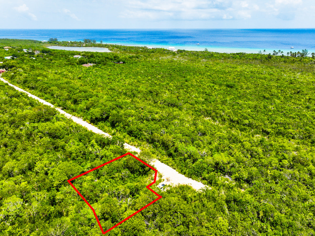 P15 Turtle Crossing