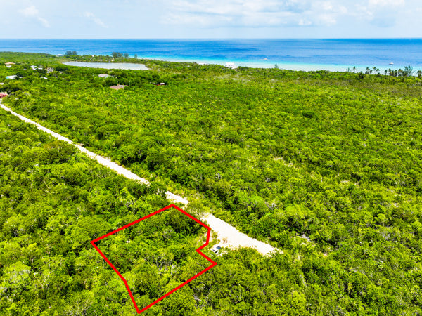 P15 Turtle Crossing