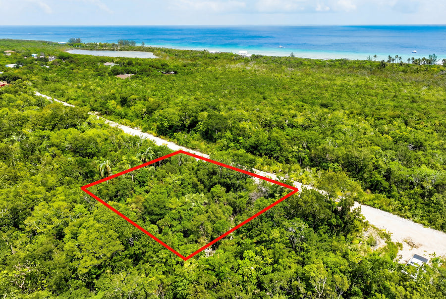 P16 Turtle Crossing Located on Cayman Brac