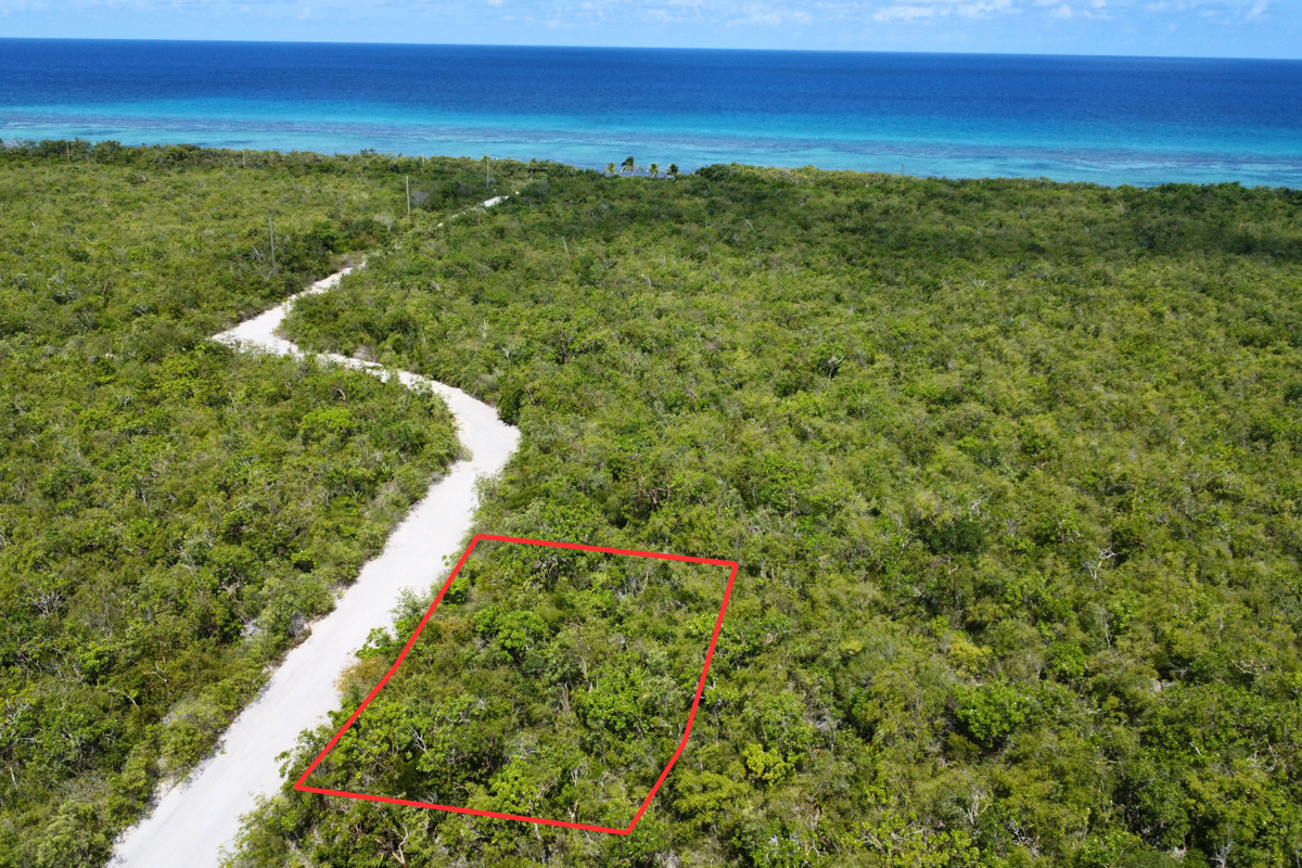 P2 Little Palm land view, Little Cayman