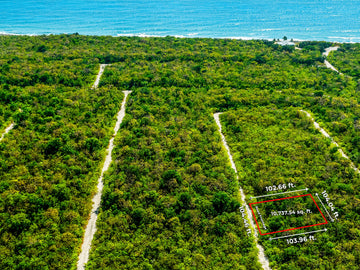 Free Home Designs Included Life on the Bluff - P138 Selworthy Grove