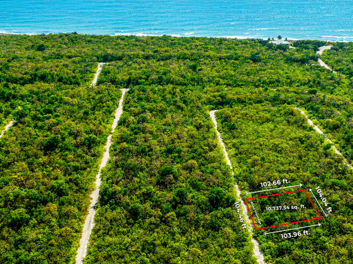 Free Home Designs Included Life on the Bluff - P138 Selworthy Grove